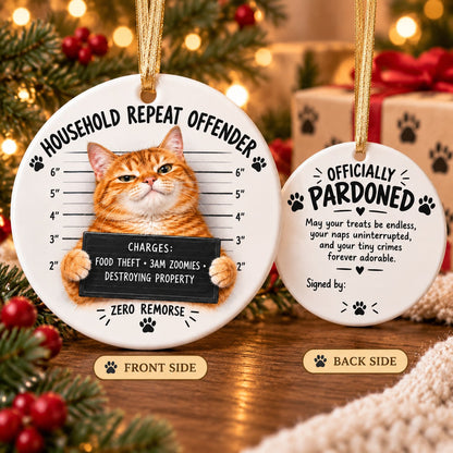 😼Customizable Name Cat Mugshot Ornament Collection