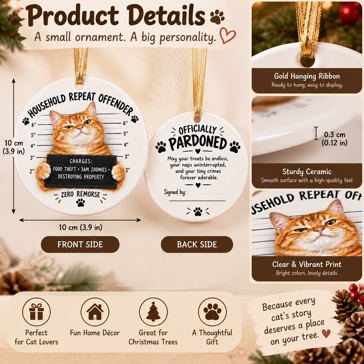😼Customizable Name Cat Mugshot Ornament Collection
