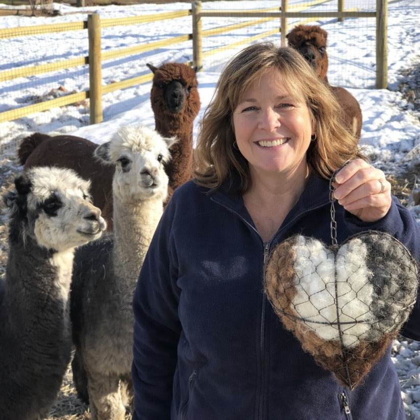 🔥LAST DAY 50% OFF - 🕊️🏡 Natural Alpaca Fiber Bird Nesting Heart❤️A Cozy Gift for Birds