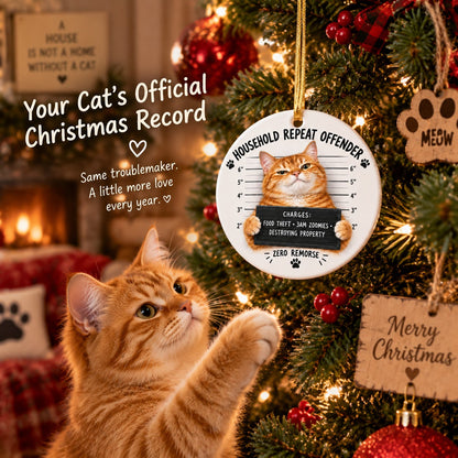 😼Customizable Name Cat Mugshot Ornament Collection