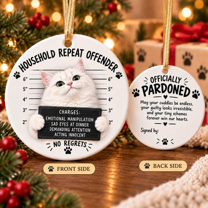 😼Customizable Name Cat Mugshot Ornament Collection