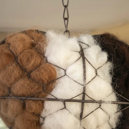🔥LAST DAY 50% OFF - 🕊️🏡 Natural Alpaca Fiber Bird Nesting Heart❤️A Cozy Gift for Birds